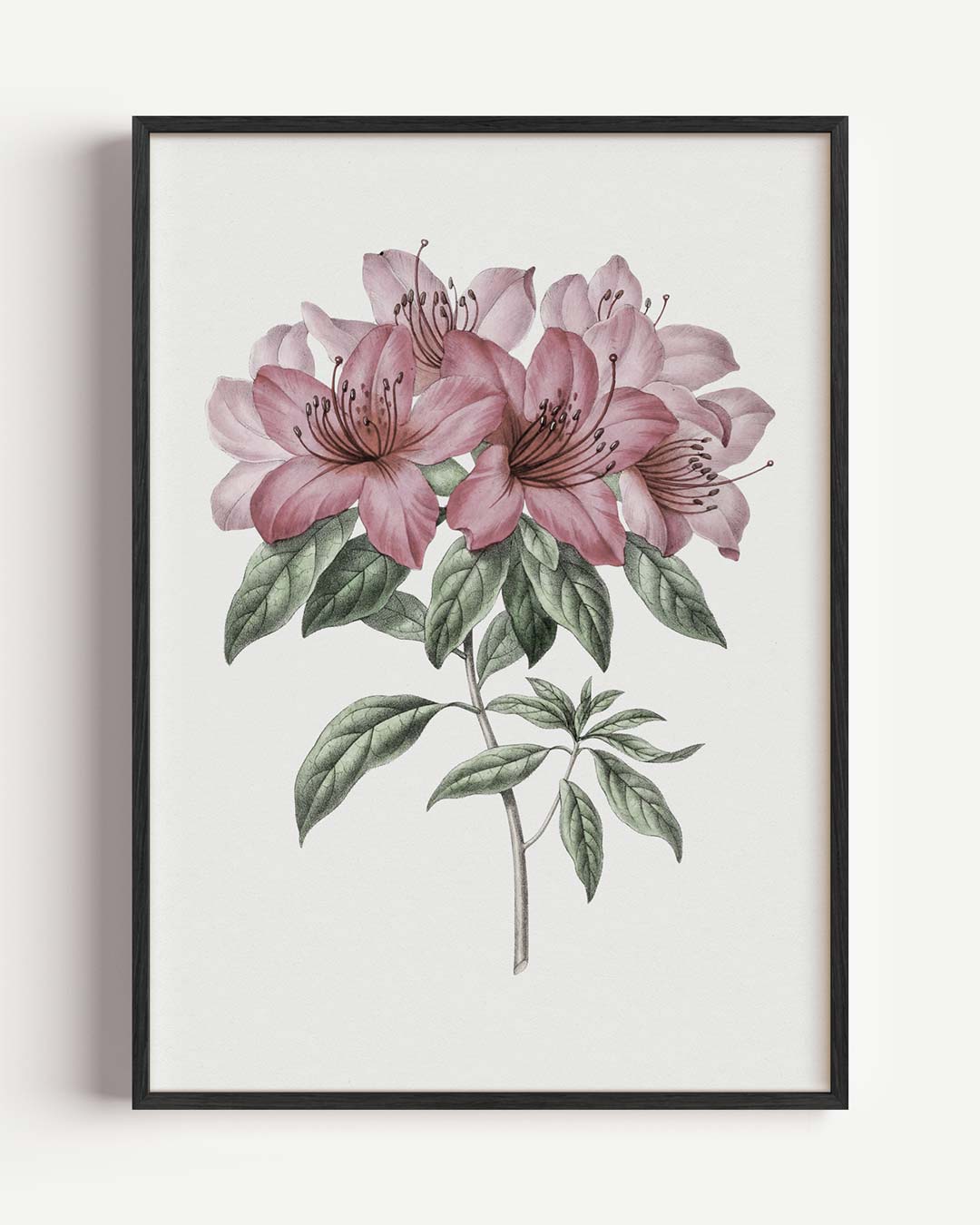 Elegante Bloemenpracht – vintage portret poster als wanddecoratie