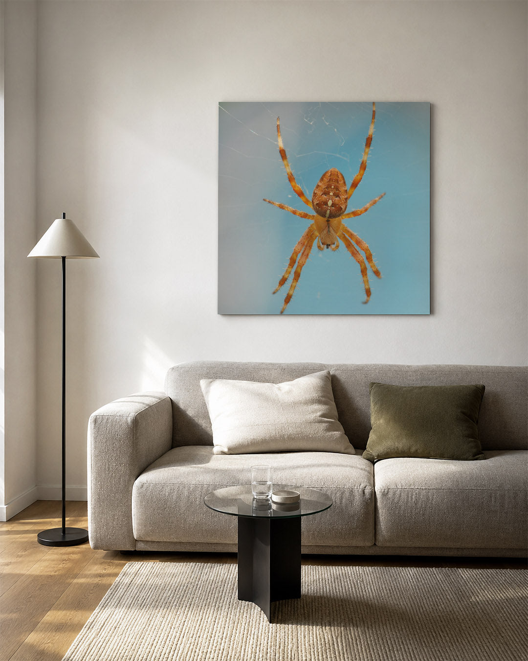 Natuurlijke spin kunstwerk – vierkante wanddecoratie – een close-up van een spin met een oranje lichaam en lange poten, tegen