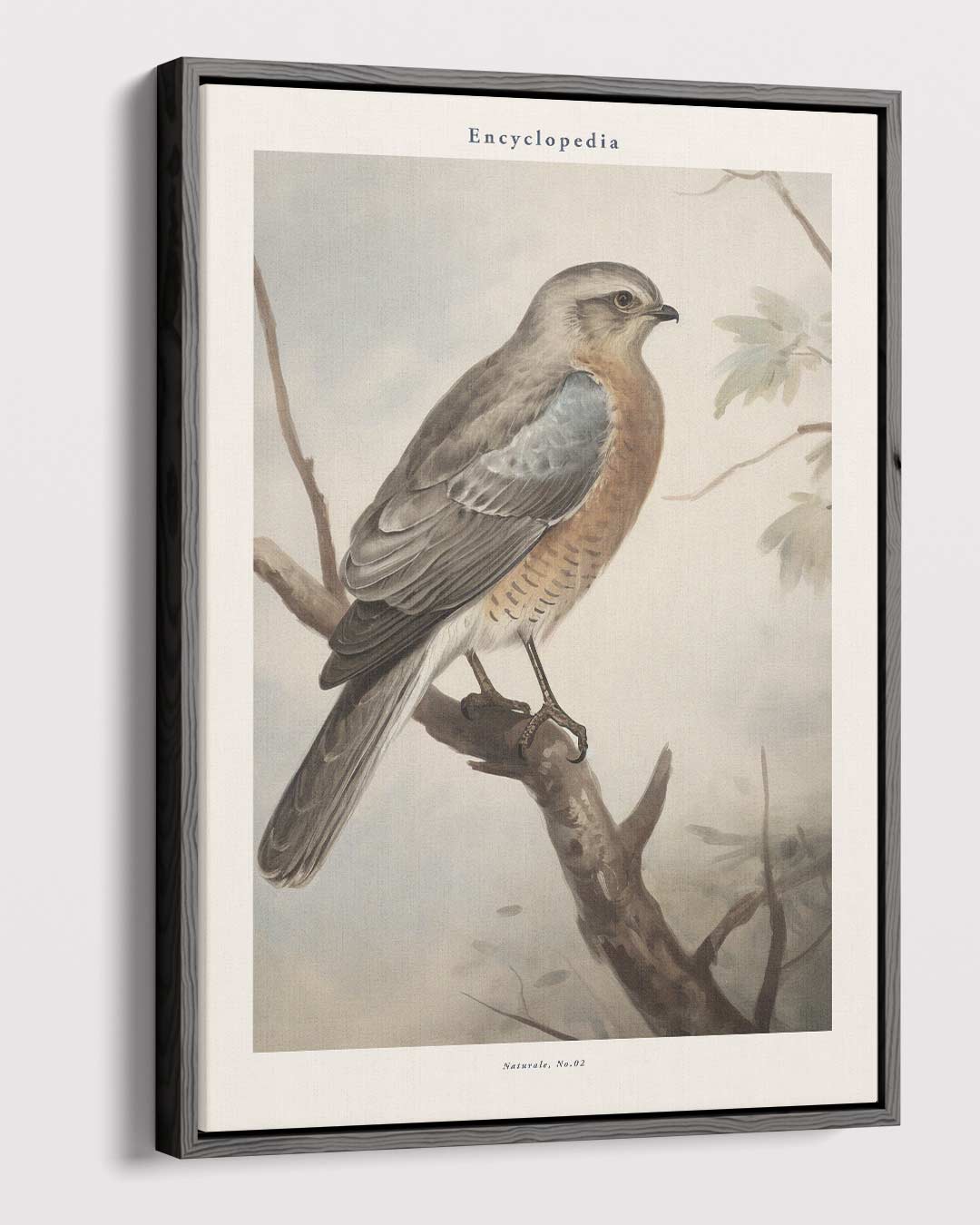 Vintage Vogelschilderij op Canvas – dibond kunstwerk als wanddecoratie