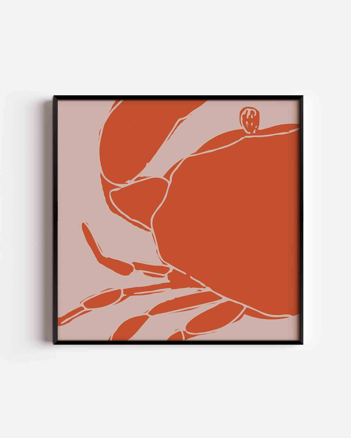 Oranje krab – keuken vierkante poster als wanddecoratie