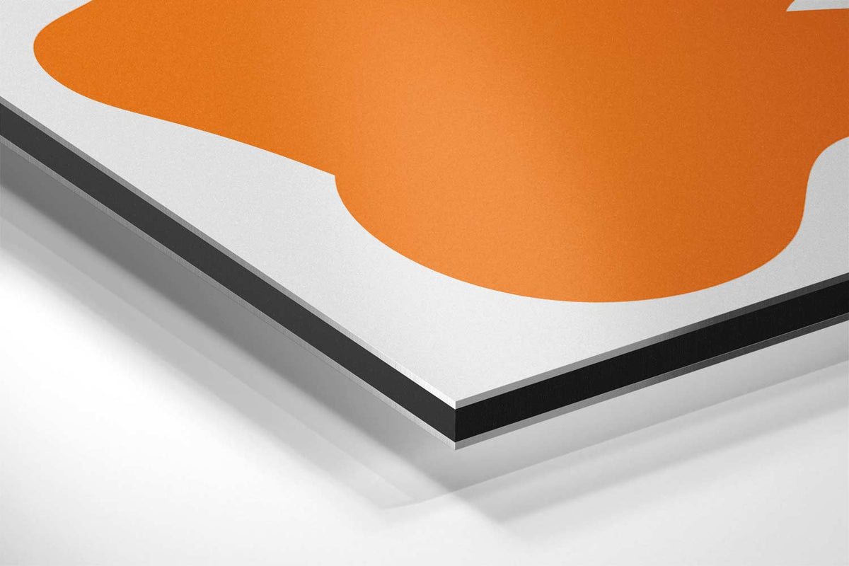 Vloeiende Vormen Abstract – canvas kunstwerk als wanddecoratie