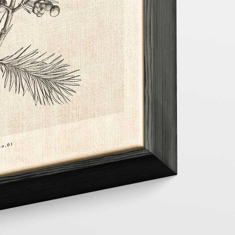 Vintage Kerstkaart met Dennen en Bessen – kunstwerk met zwarte baklijst