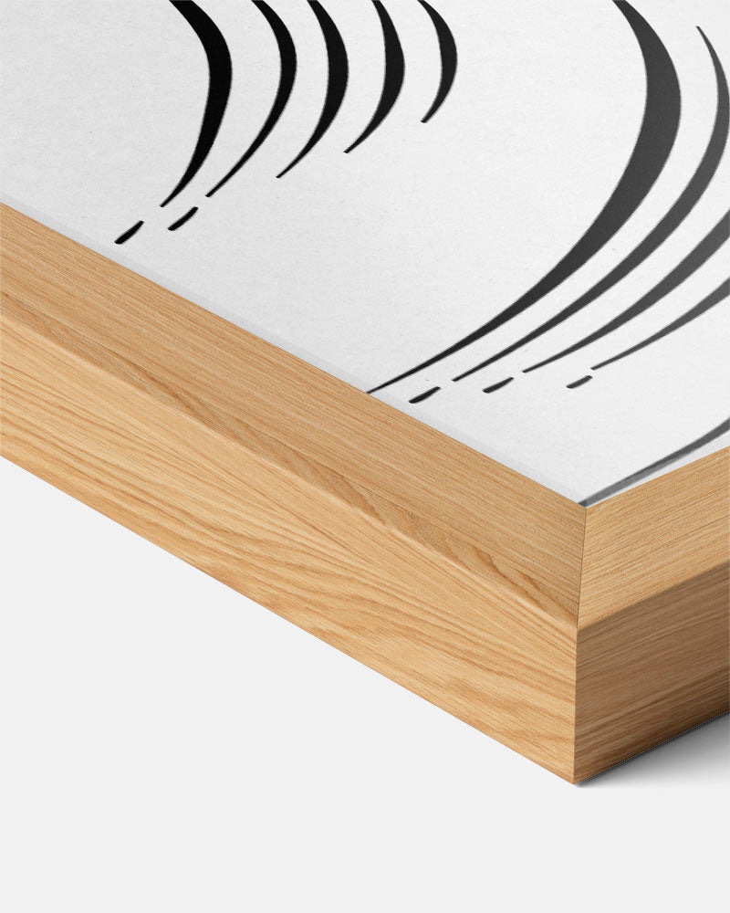 Elegante Schelpentekening – zeedieren portret poster, afbeelding 7