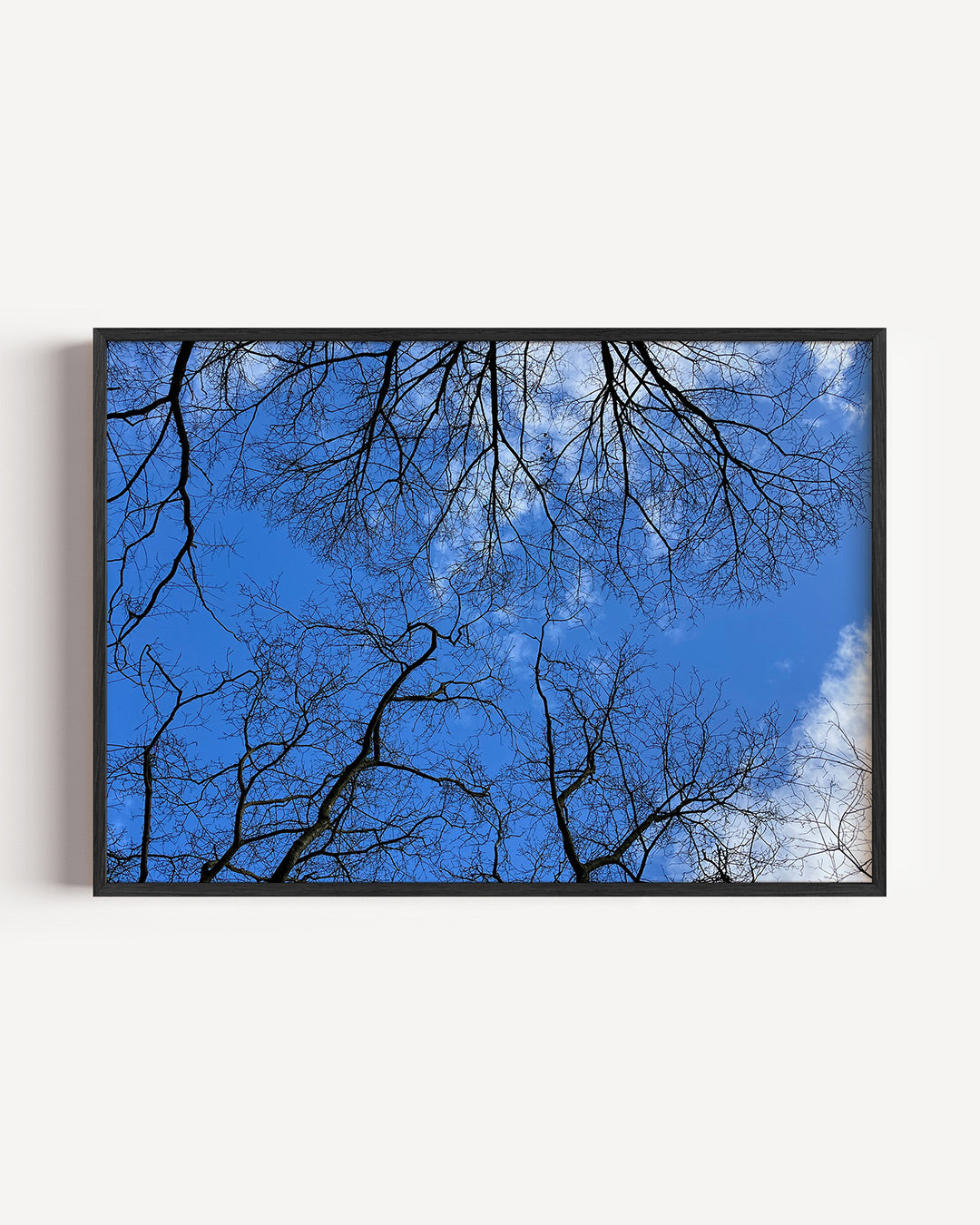 Boomtakken tegen lucht poster – liggende wanddecoratie – dunne, kronkelige takken strekken zich uit tegen een heldere blauwe