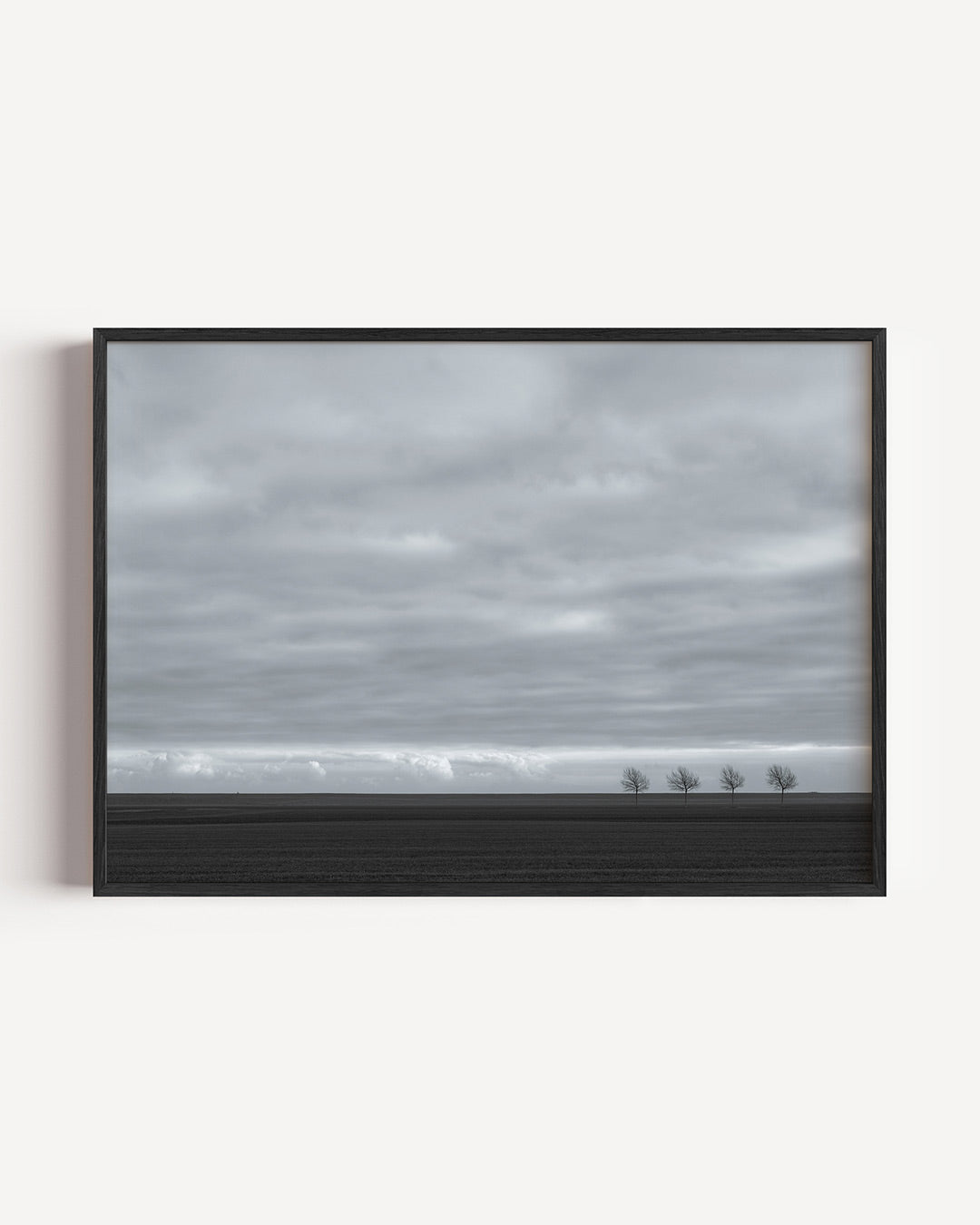 Landschap poster – liggende wanddecoratie – een compositie met een uitgestrekte horizon en vier kale bomen onder een bewolkte