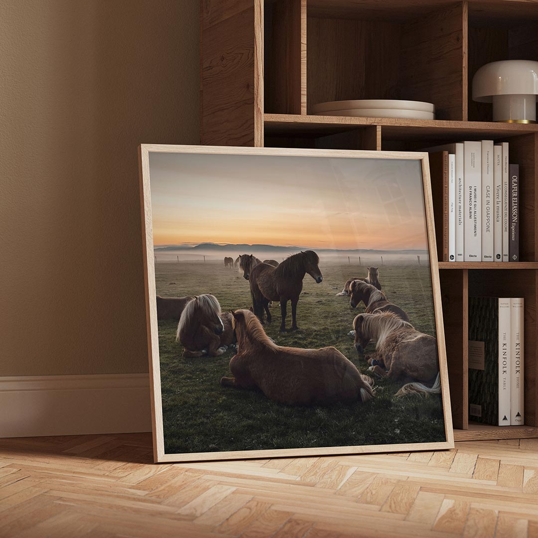 Rustige paardenweide poster – detailweergave – een weide met paarden in rust, omgeven door een ochtendnevel en een gloed van