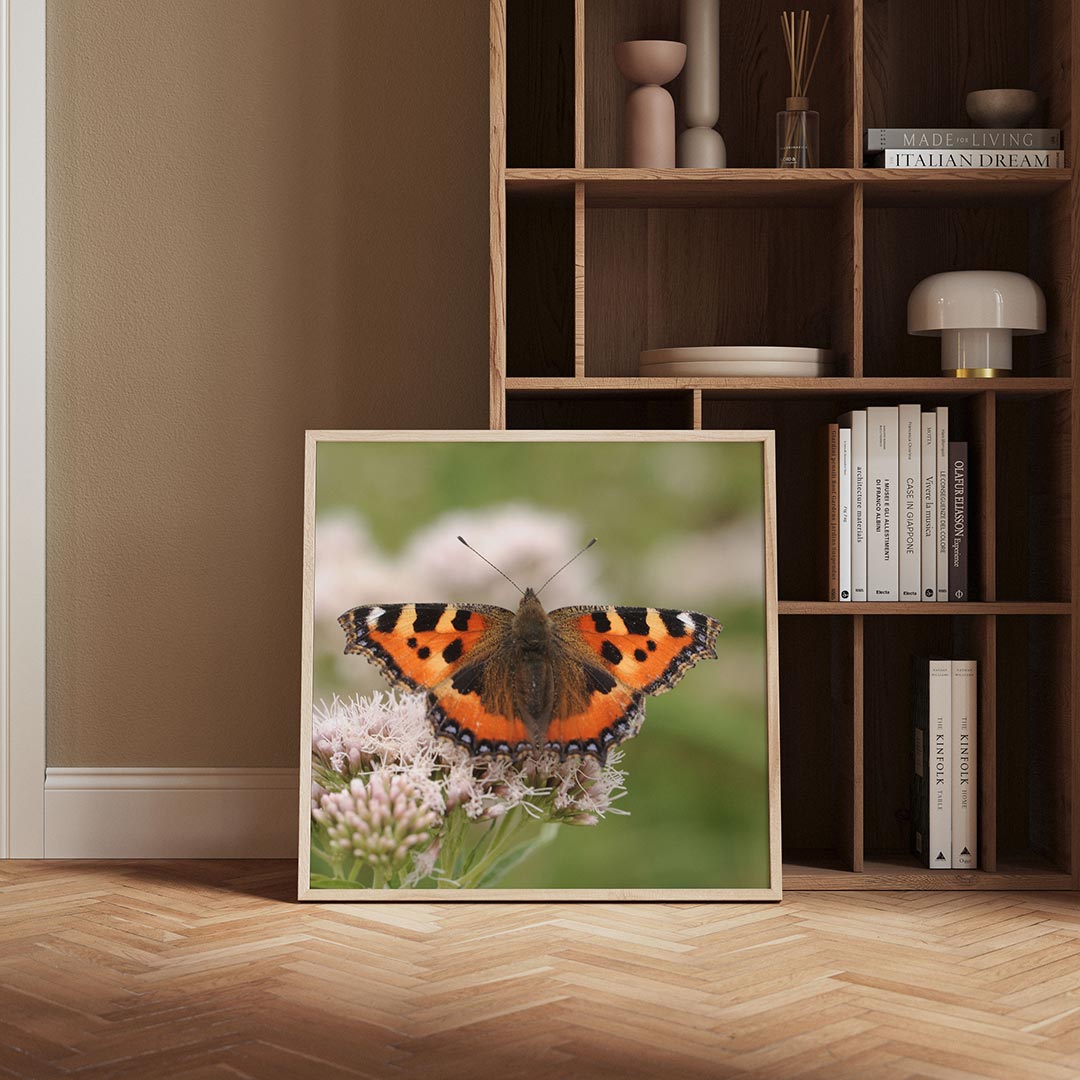 Vlinder op bloem poster – derde productweergave – deze poster toont een kleurrijke vlinder met opvallende oranje en zwarte