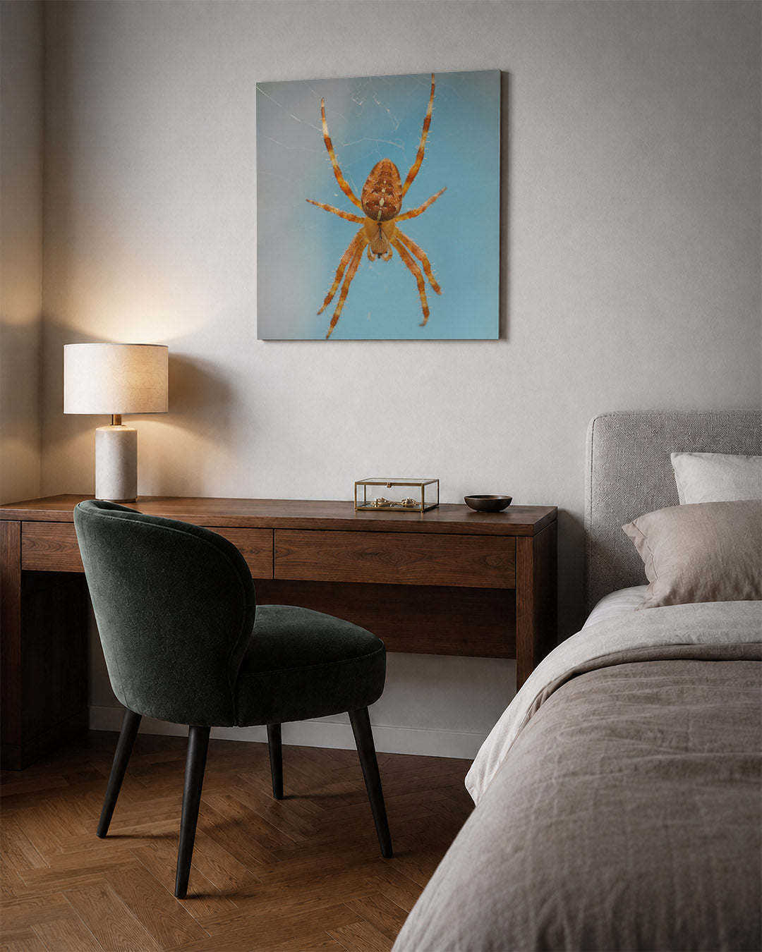 Natuurlijke spin kunstwerk – sfeerbeeld – een close-up van een spin met een oranje lichaam en lange poten, tegen een zachte