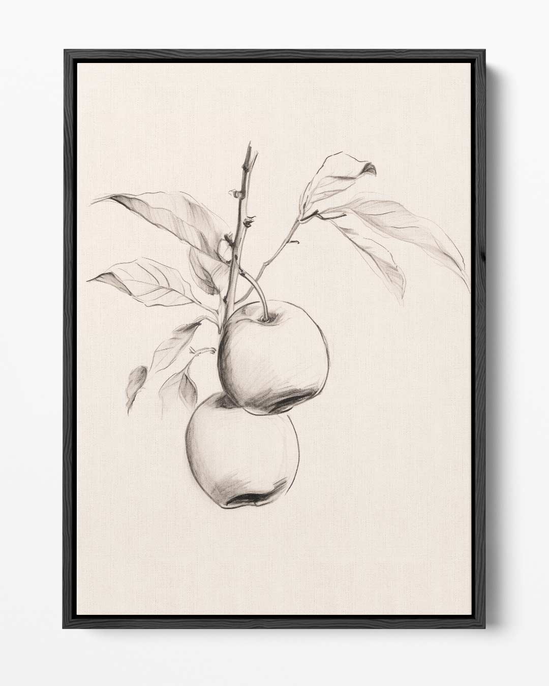 Sierlijke Potloodschets van Appeltak – portret kunstwerk als wanddecoratie