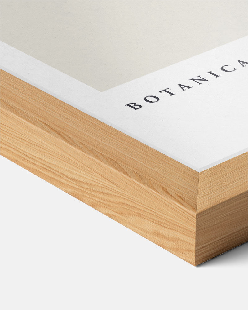 Botanica I Bloemenlijntekening – staande keuken wanddecoratie van WallArtistic