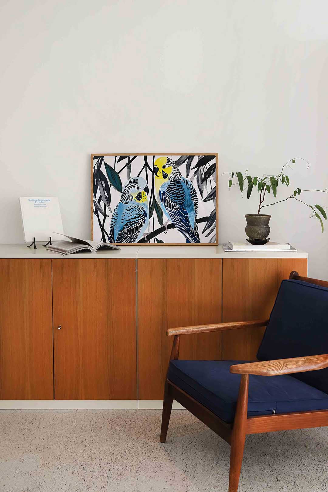 Parkieten op tak – liggende dieren wanddecoratie van WallArtistic